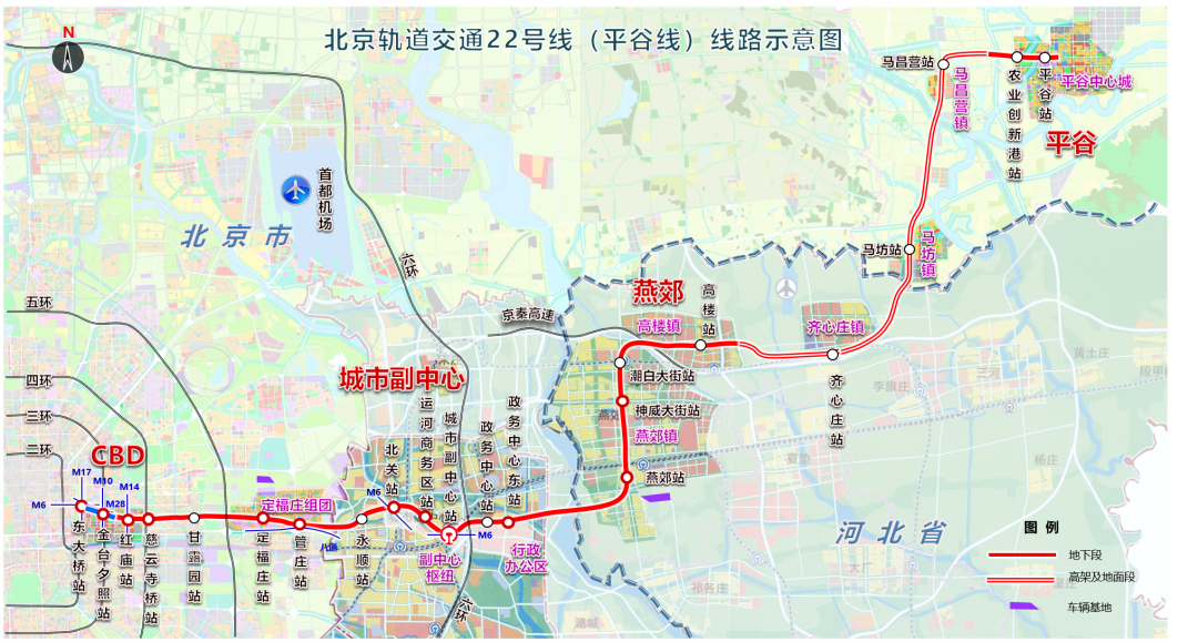 科学喂养，让您的爱宠更健康 - 问鼎娱乐官网1